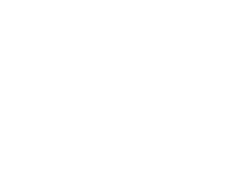 Hachidori Sake Scrolled light version of the logo (Link to homepage)